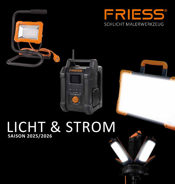 Licht und Strom Friess Beitragsbild